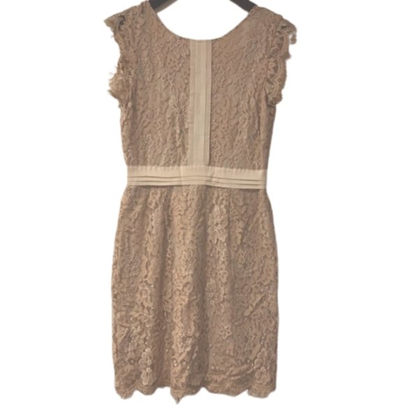 BEDO Femme Pink Blush Sheath Dress, Size Medium - Picture 1 of 7